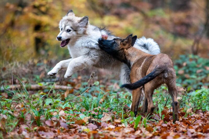 Inaavi und Smuuk - Bild: Dominique Metzler