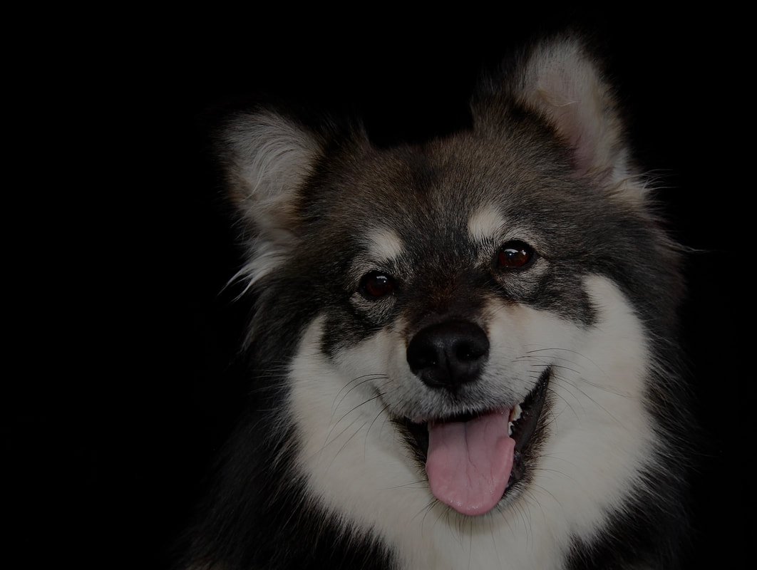 Ōkami-KOA of Istas Tala